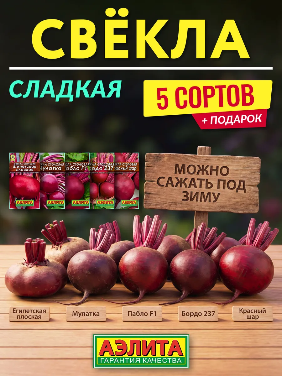 Семена свеклы сладкой