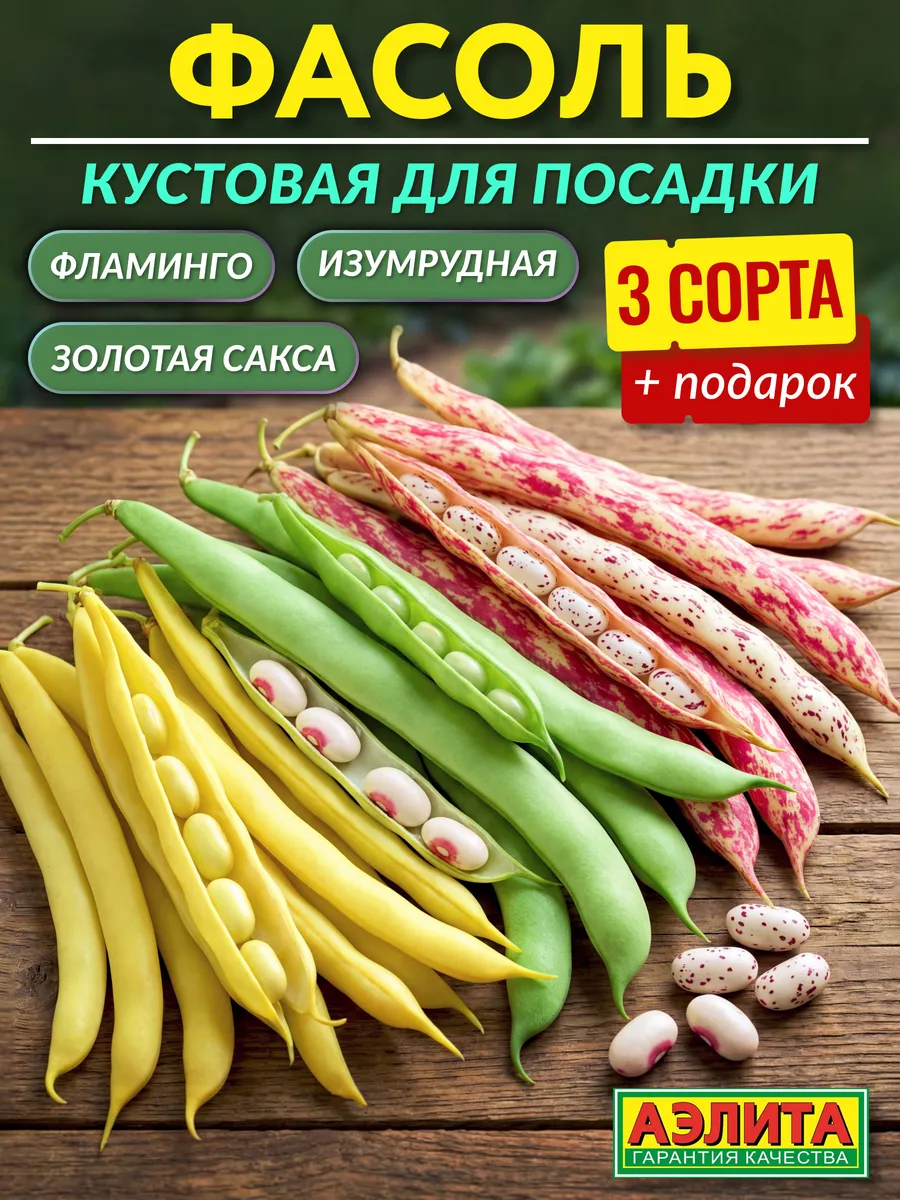 Семена фасоли кустовой для посадки