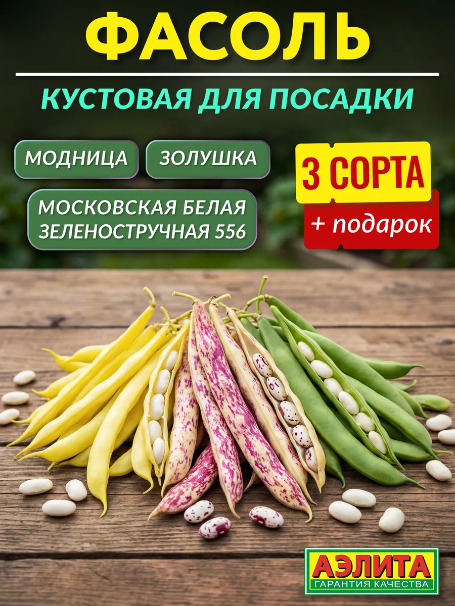 Семена фасоли кустовой для посадки