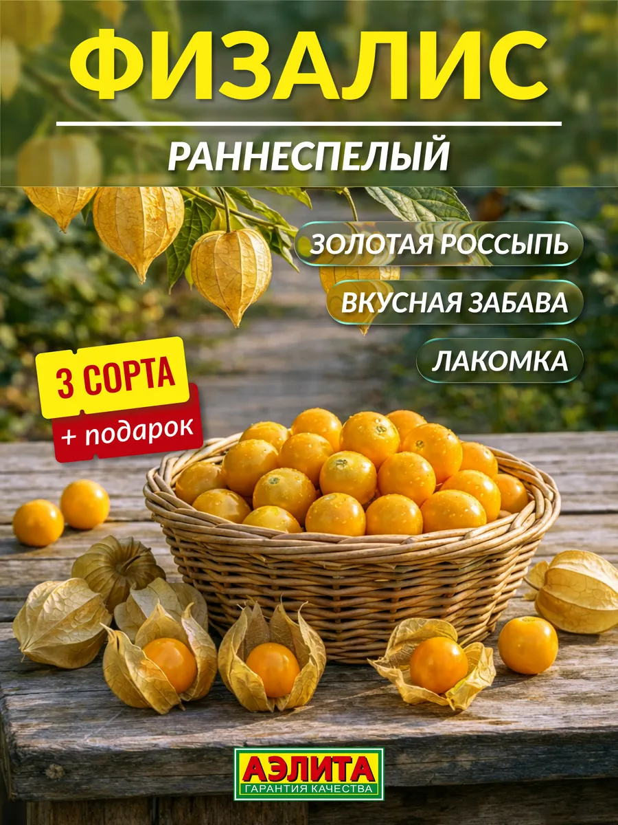 Семена физалиса овощного