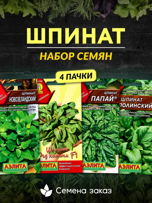 Агрофирма АЭЛИТА Семена зелени петрушки и укропа для подоконника и огорода, вариант, фото 2
