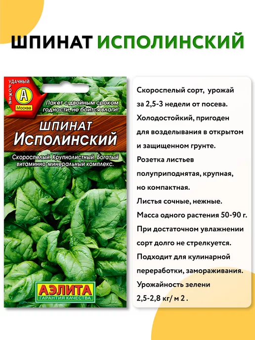 Агрофирма АЭЛИТА Семена зелени петрушки и укропа для подоконника и огорода, вариант, фото 3