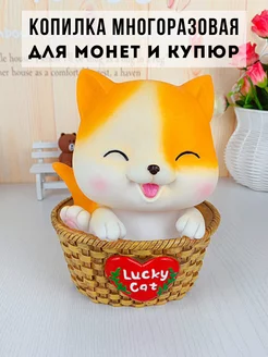 Копилка многоразовая для монет и купюр - кот, кошка