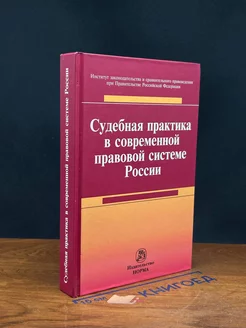 Судебная практика в современной правовой системе России