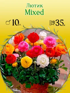 Лютик Mixed 10 шт уп р.5 6 (клубень)