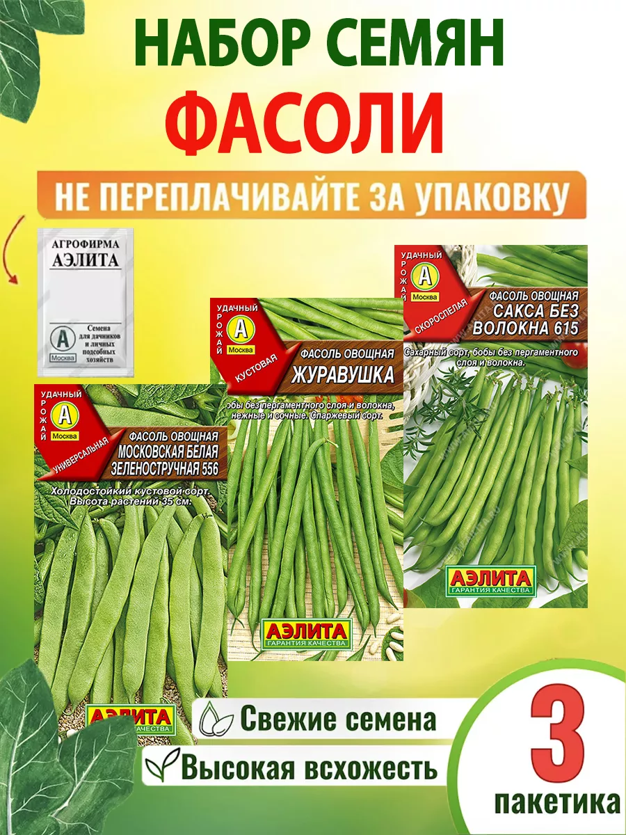 Семена фасоли 3 шт
