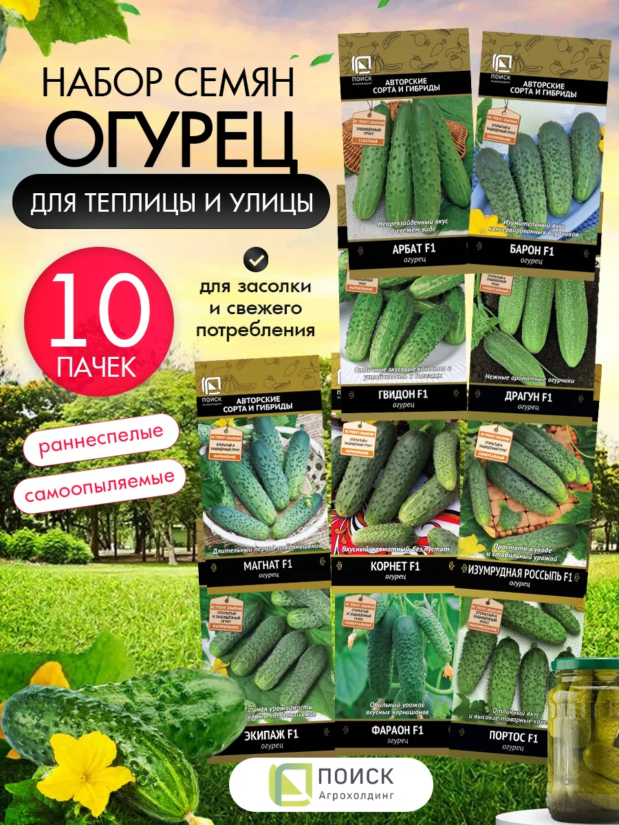 Семена огурцов самоопыляемые для открытого грунта и теплицы
