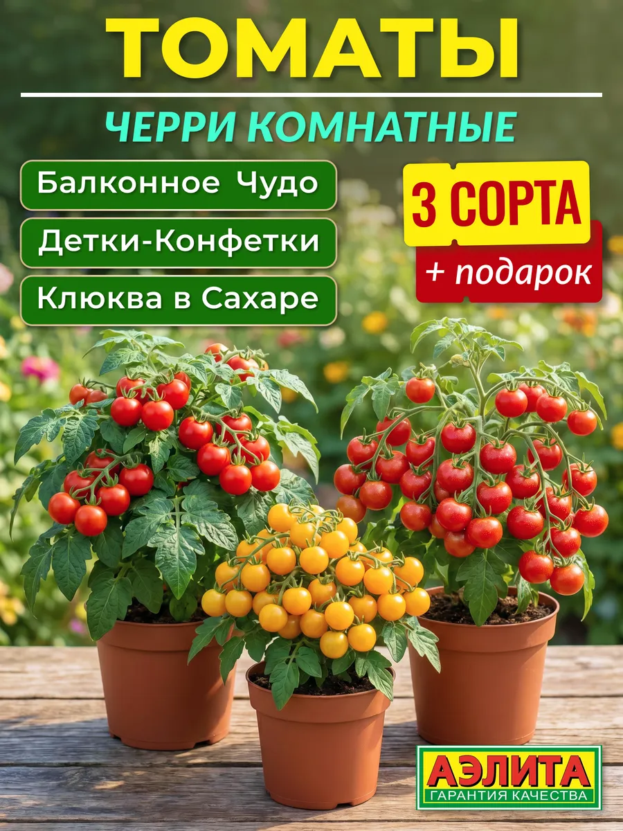 Семена томатов черри для подоконника