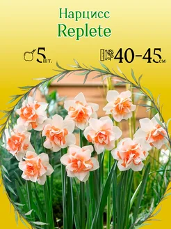 Нарцисс Replete 5 шт уп р.14 16, каперс 12273