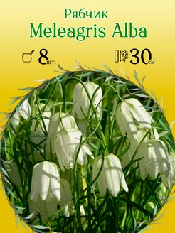 Рябчик Meleagris Alba 8шт уп р.5 6 каперс 12383