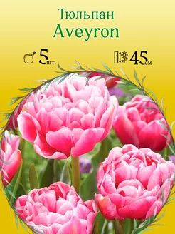 Тюльпан Aveyron 5шт уп р.11 12, каперс 12228