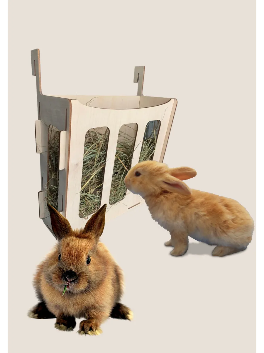 Кормушка для грызунов...