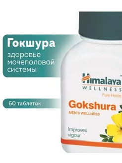 Gokshura Хималая 60 таб Wellnes 264034695 купить за 387 ₽ в интернет-магазине Wildberries