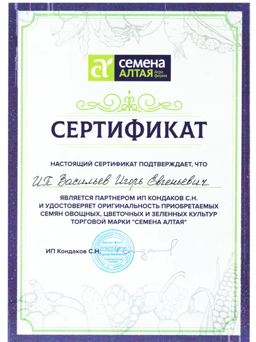 Семена Алтая Семена зелени и пряности для огорода и дома, зеленый, фото 2
