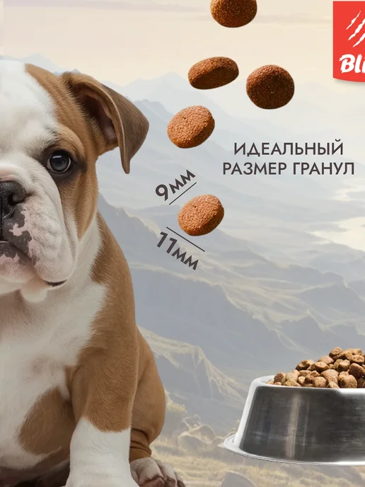 Сухой корм BLITZ для собак, чувствительное пищеварение, щенки, ягненок, 0,5 кг, фото 3
