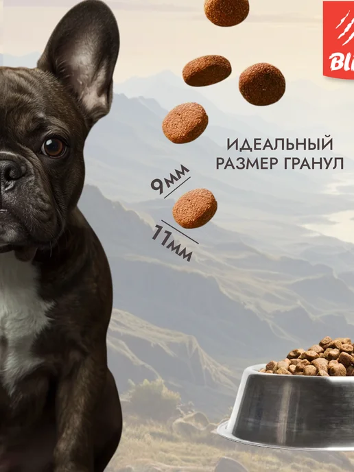 Сухой корм BLITZ для собак, мелкие, ягненок, 0,5 кг, фото 3
