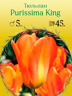 Тюльпан Purissima King 5шт уп р.11 12, каперс 12017