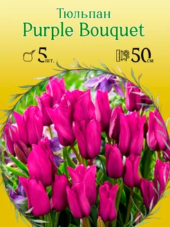 Тюльпан Purple Bouquet 5шт р.11 12 каперс (луковицы)