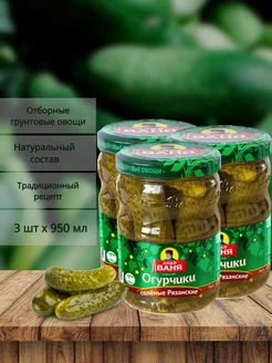 Огурцы соленые Рязанские 950 г х 3 шт Дядя Ваня 264124232 купить за 822 ₽ в интернет-магазине Wildberries