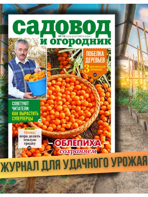 Садовод и огородник Журнал №19 Как подготовить цветы к зиме, вариант