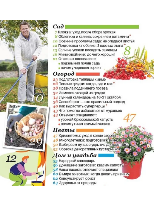 Садовод и огородник Журнал №19 Как подготовить цветы к зиме, вариант, фото 2