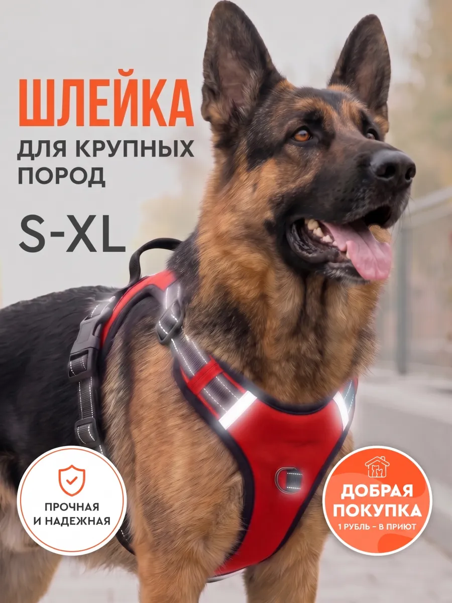 Шлейка для собак средних и крупных пород