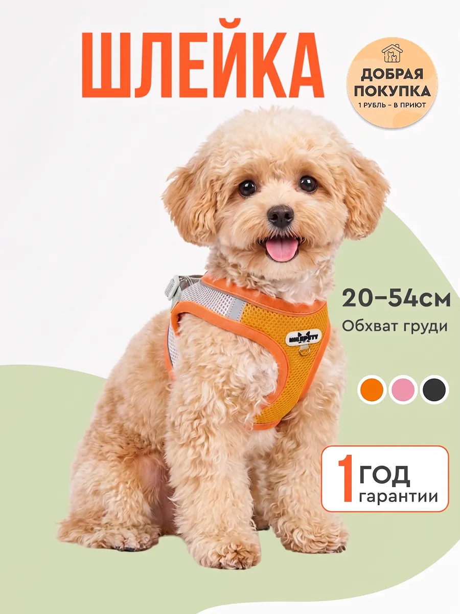 Шлейка для собак мелких и средних пород и кошек