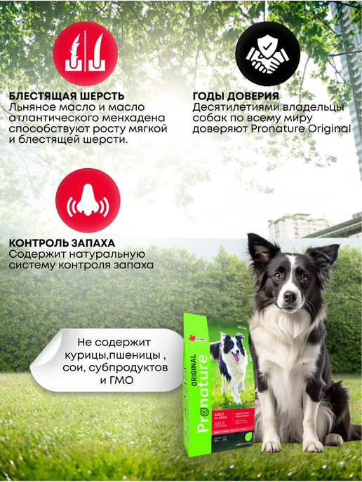 Сухой корм Pronature Original для собак, ягненок, 2,27 кг, фото 2