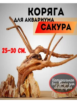 Коряга для аквариума натуральная Сакура