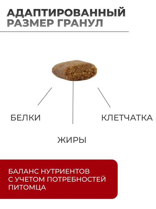 Сухой корм platinum для собак, взрослые, ягненок, 5 кг, фото 2
