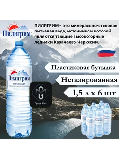 Вода минеральная Пилигрим, 1,5 л х 6 шт, негазированная, пэт Пилигрим 264289425 купить за 432 ₽ в интернет-магазине Wildberries