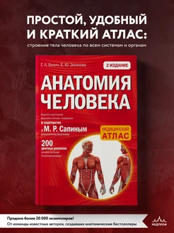 Анатомия человека (цветной атлас): 2 издание Эксмо 264321538 купить за 514 ₽ в интернет-магазине Wildberries