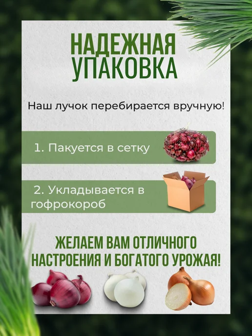 луковый край Лук севок на посадку красный Кампилло 0.3 кг, 300 г, фото 2