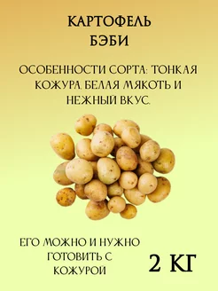 Картофель Бэби, 2 кг Myfanza 264364932 купить за 289 ₽ в интернет-магазине Wildberries