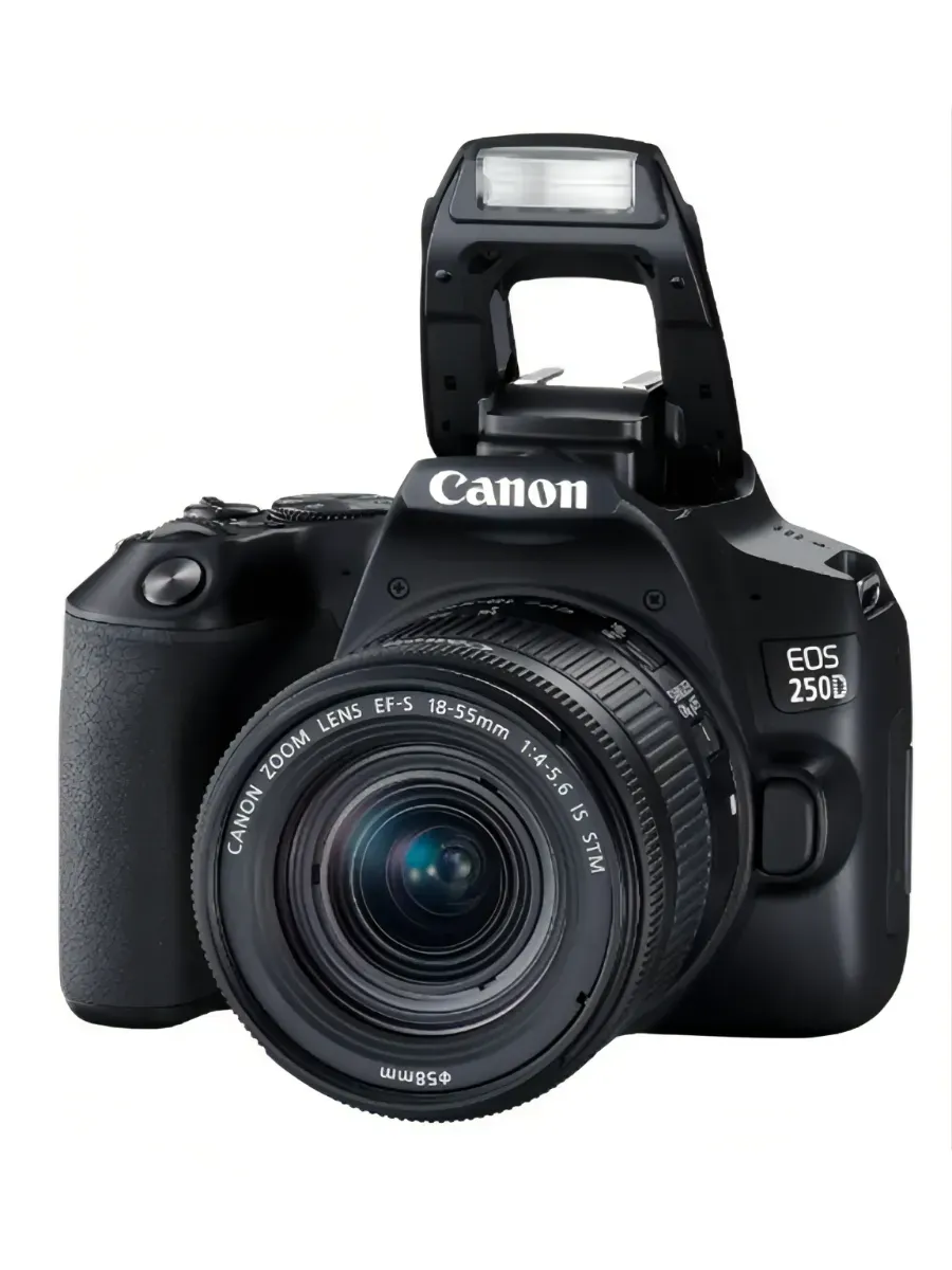 Зеркальный фотоаппарат EOS 250D Kit 18-55 IS STM черный