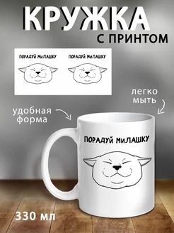 Кружка подарочная котик