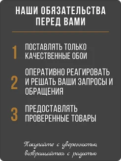 Обои бумажные однотонные БаронФон21 - 2 рулона. Купить обои на стену. Изображение 14