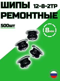 Ремонтные шипы 8 мм 12-8-2 ТР фасовка 500 штук Bestparts 264506801 купить за 3 060 ₽ в интернет-магазине Wildberries