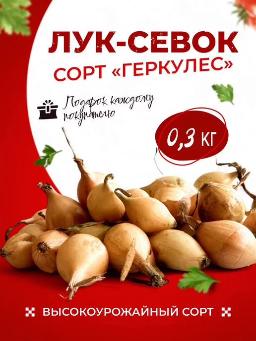 Лук севок озимый для посадки в зиму "Геркулес" 0.3 кг, 300 г