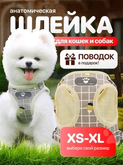 Шлейка для собак и кошек для мелких и средних пород MÚNDO PETS 264579771 купить за 414 ₽ в интернет-магазине Wildberries