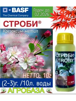 Строби фунгицид 10г Агробаза 264615538 купить за 312 ₽ в интернет-магазине Wildberries