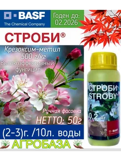 Строби фунгицид 50г АгроБаза 264615539 купить за 1 079 ₽ в интернет-магазине Wildberries