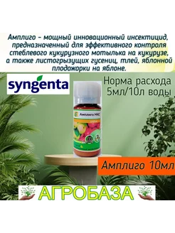 Инсектицид Амплиго 10мл от компании Агробаза 264619385 купить за 183 ₽ в интернет-магазине Wildberries