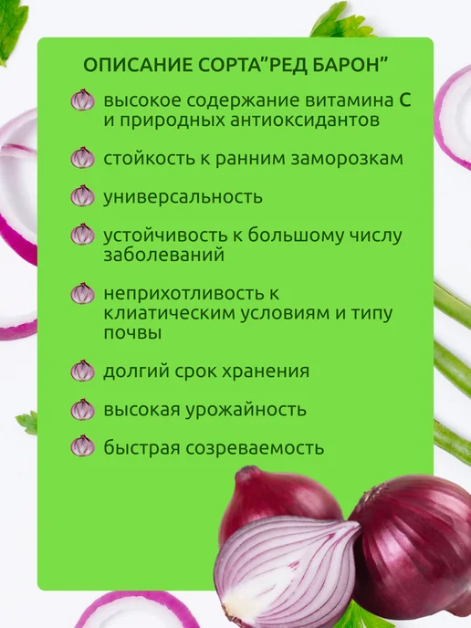 луковый край Лук севок для посадки Ред Барон 1 кг, 1 кг, фото 2