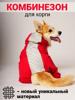 Комбинезон для корги самка