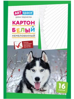 Картон белый А4 немелованный, 16 листов