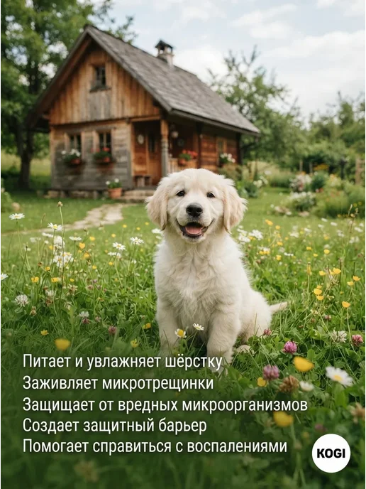 KOGI Бальзам для собак гипоаллергенный с хлоргексидином, 250 мл, фото 3