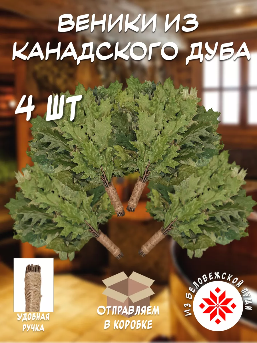 Веник канадский дуб - 4 шт.