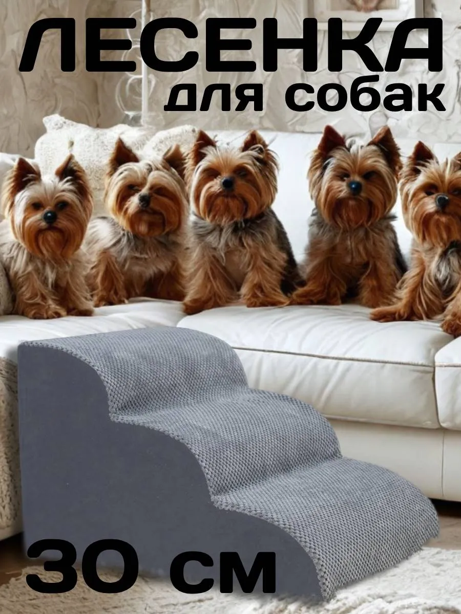 Лестница для собак...