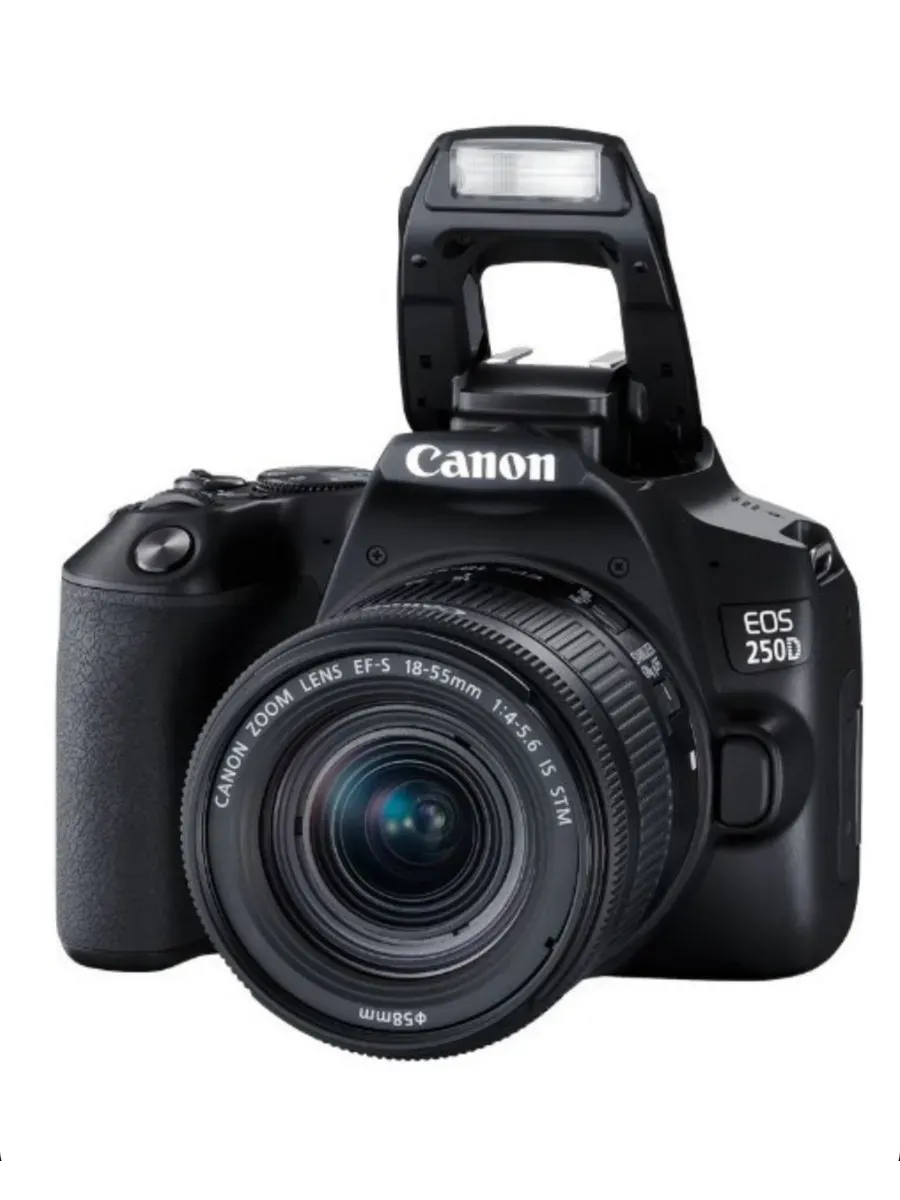 Зеркальный фотоаппарат EOS 250D Kit 18-55 IS STM черный